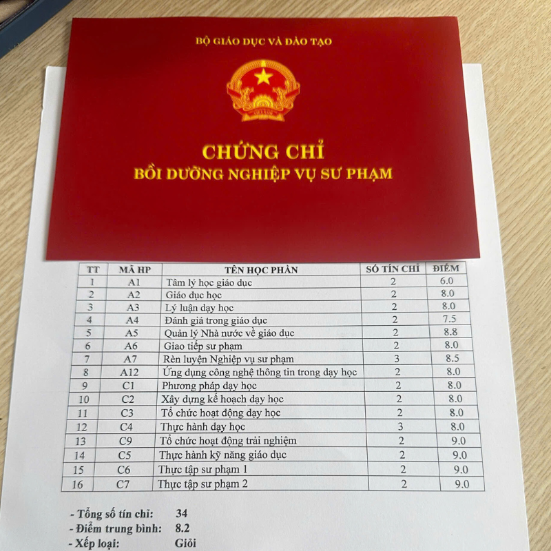 lớp nghiệp vụ sư phạm tiểu học tphcm