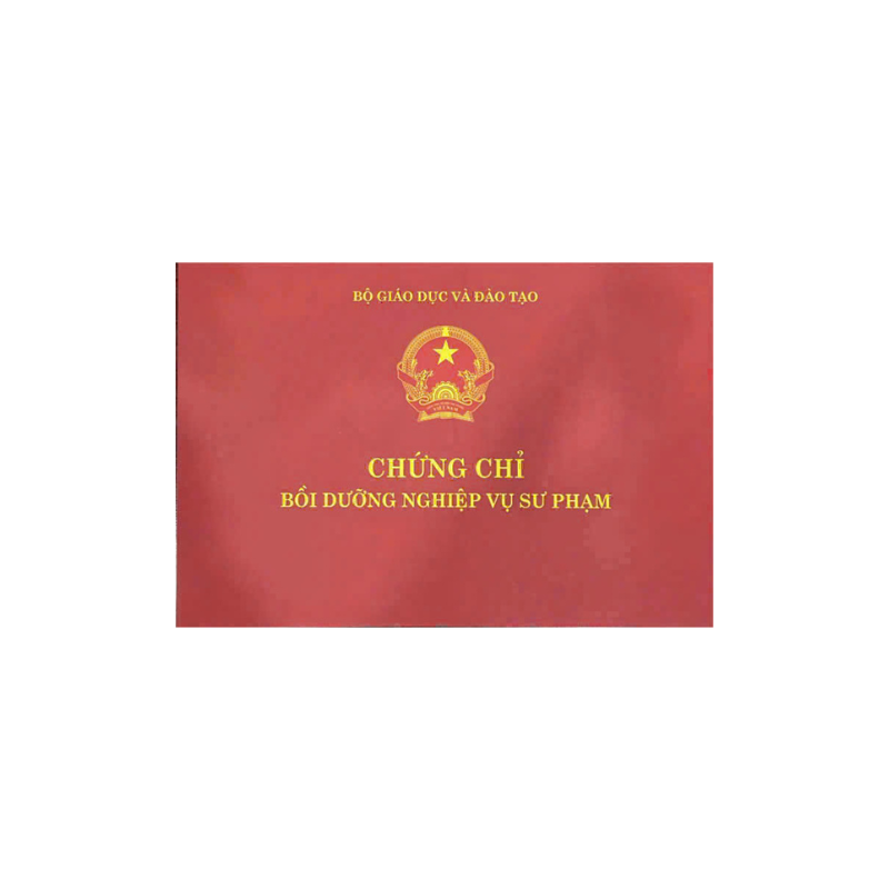 nghiệp vụ sư phạm tiểu học tphcm